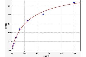 ELISA image for Collagen, Type IV (COL4) ELISA Kit (ABIN6965946)