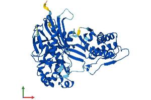Protein Structure (PS) image for Sedoheptulokinase (SHPK) (AA 1-476) protein (His tag) (ABIN7561013)