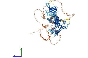 Protein Structure (PS) image for Oligophrenin 1 (OPHN1) (AA 1-802) protein (His tag) (ABIN7554816)