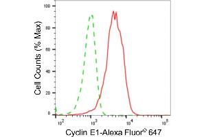 Flow cytometric analysis of Cyclin E1 expression in HeLa cells using Cyclin E1 antibody (ABIN7798197), 1:2,000). (Recombinant Cyclin E1 抗体)