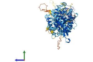 Protein Structure (PS) image for Solute Carrier Family 12 (Potassium/chloride Transporters), Member 9 (SLC12A9) (AA 1-914) protein (His tag) (ABIN7555297)