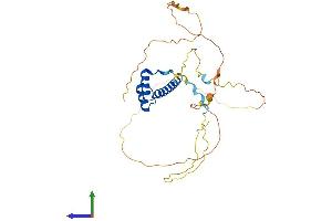 Protein Structure (PS) image for Caudal Type Homeobox 2 (CDX2) (AA 1-313) protein (His tag) (ABIN7553275)