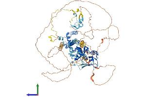 AlphaFold protein structure predicition of Mouse Recombinant Jade1 Protein, UniprotID Q6ZPI0