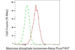 Flow cytometric analysis of Mannose phosphate isomerase expression in HeLa cells using Mannose phosphate isomerase antibody (ABIN7799328), 1:2,000). (MPI 抗体)