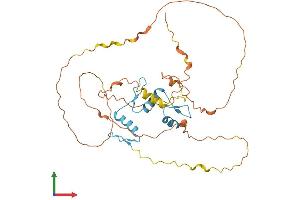 Protein Structure (PS) image for Kruppel-Like Factor 1 (erythroid) (KLF1) (AA 1-358) protein (His tag) (ABIN7563273)