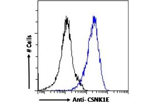 ABIN238540 Flow cytometric analysis of paraformaldehyde fixed A431 cells (blue line), permeabilized with 0.