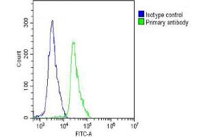 Overlay histogram showing Jurkat cells stained with (ABIN389186 and ABIN2839349) (green line). (Cadherin 5 抗体  (N-Term))