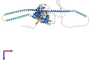 AlphaFold protein structure predicition of Human Recombinant EVI5 Protein, UniprotID O60447 (EVI5 Protein (AA 1-810) (His tag))