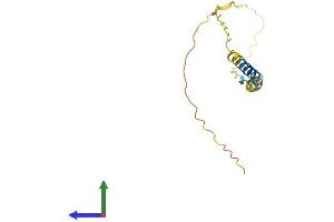 AlphaFold protein structure predicition of Mouse Recombinant Bex1 Protein, UniprotID Q9R224