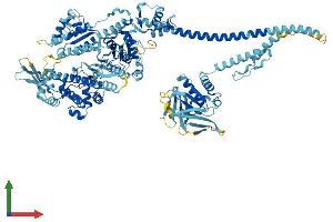 AlphaFold protein structure predicition of Human Recombinant MYO1A Protein, UniprotID Q9UBC5