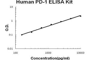 Human PD-1 PicoKine ELISA Kit standard curve (PD-1 ELISA 试剂盒)