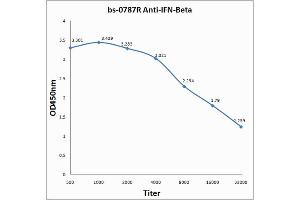 Antigen: 0. (IFNB1 抗体  (AA 101-187))