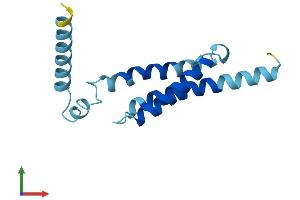AlphaFold protein structure predicition of Mouse Recombinant Mpc2 Protein, UniprotID Q9D023