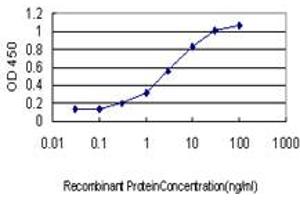 Detection limit for recombinant GST tagged GMPS is approximately 0. (GMP Synthase 抗体  (AA 108-215))