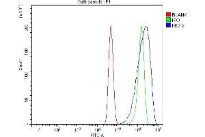 anti-MCF.2 Cell Line Derived Transforming Sequence (MCF2) (AA 42-925) antibody