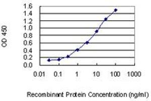 Detection limit for recombinant GST tagged MSC is 0. (Musculin 抗体  (AA 1-100))