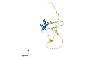 AlphaFold protein structure predicition of Human Recombinant BARX1 Protein, UniprotID Q9HBU1 (BARX1 Protein (AA 1-254) (His tag))