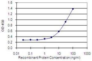Detection limit for recombinant GST tagged HAGHL is 0. (HAGHL 抗体  (AA 183-282))