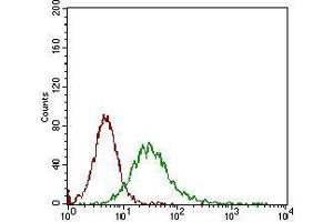 Flow cytometric analysis of Jurkat cells using CD68 mouse mAb (green) and negative control (red). (CD68 抗体  (AA 42-155))