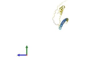 AlphaFold protein structure predicition of Human Recombinant GYPC Protein, UniprotID P04921