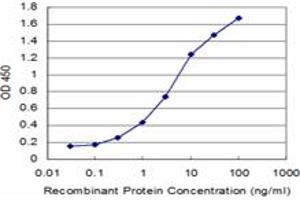 Detection limit for recombinant GST tagged GLRA1 is approximately 0. (GLRA1 抗体  (AA 121-220))