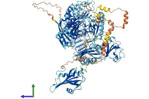 Protein Structure (PS) image for Flightless I Homolog (FLII) (AA 1-1269) protein (His tag) (ABIN7553932)