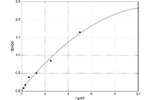 8-Oxoguanine DNA Glycosylase (OGG1) ELISA Kit