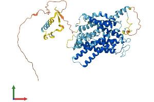 Protein Structure (PS) image for Solute Carrier Family 38, Member 9 (SLC38A9) (AA 1-560) protein (His tag) (ABIN7564337)