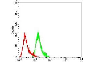 Flow Cytometry (FACS) image for anti-Nuclear Factor of kappa Light Polypeptide Gene Enhancer in B-Cells 2 (NFKB2) (AA 712-900) antibody (ABIN7193353)
