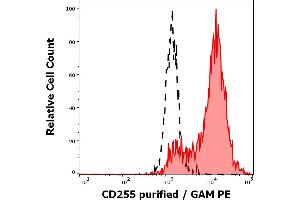 Separation of CD255 transfected l5178Y cells (red-filled) from CD255 nontransfected (WT) l5178Y cells (black-dashed) in flow cytometry analysis (surface staining) of l5178Y cell suspensions stained using anti-human CD255 (CARL-1) purified antibody (concentration in sample 3 μg/mL) GAM PE. (CD255 抗体)