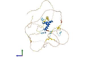 Protein Structure (PS) image for SRY (Sex Determining Region Y)-Box 8 (SOX8) (AA 1-464) protein (His tag) (ABIN7556889)