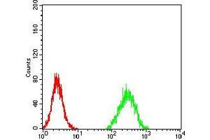 Flow cytometric analysis of Hela cells using ZFP91 mouse mAb (green) and negative control (red). (ZFP91 抗体  (AA 162-304))