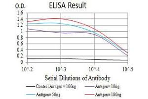 Black line: Control Antigen (100 ng),Purple line: Antigen (10 ng), Blue line: Antigen (50 ng), Red line:Antigen (100 ng) (Metabotropic Glutamate Receptor 3 抗体  (AA 433-576))