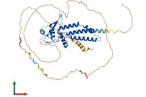 Protein Structure (PS) image for Transcription Factor AP-2 beta (Activating Enhancer Binding Protein 2 Beta) (TFAP2B) (AA 1-460) protein (His tag) (ABIN7552256)