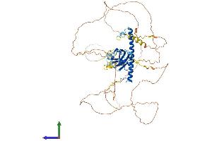 Protein Structure (PS) image for Rab11 Family-Interacting Protein 1 (RAB11FIP1) (AA 1-645) protein (His tag) (ABIN7561032)