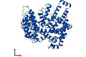 AlphaFold protein structure predicition of Human Recombinant HHAT Protein, UniprotID Q5VTY9
