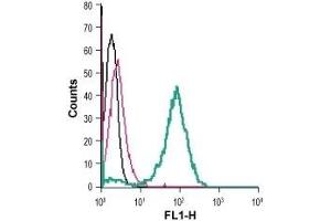 Flow Cytometry (FACS) image for anti-Solute Carrier Family 2 (Facilitated Glucose Transporter), Member 3 (SLC2A3) (AA 39-51), (Extracellular) antibody (ABIN7043698)
