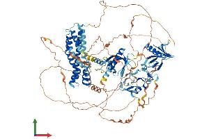 AlphaFold protein structure predicition of Mouse Recombinant Fgd1 Protein, UniprotID P52734