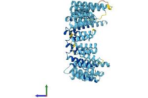 Protein Structure (PS) image for UTP6, Small Subunit (SSU) Processome Component, Homolog (UTP6) (AA 1-597) protein (His tag) (ABIN7544997)