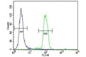 p38 antibody flow cytometric analysis of HeLa cells (right histogram) compared to a negative control (left histogram). (MAPK14 抗体  (AA 295-324))