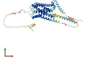 AlphaFold protein structure predicition of Mouse Recombinant Htr7 Protein, UniprotID P32304 (HTR7 Protein (AA 1-448) (His tag))