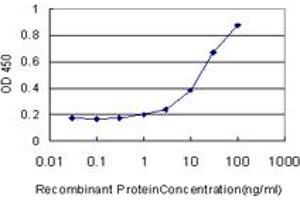 Detection limit for recombinant GST tagged SPHK1 is approximately 1ng/ml as a capture antibody. (SPHK1 抗体  (AA 1-384))