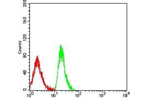 Flow cytometric analysis of MOLT4 cells using CD179A mouse mAb (green) and negative control (red). (VPREB1 抗体  (AA 20-145))
