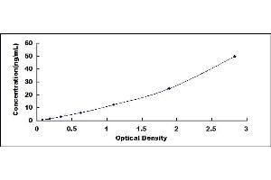 Typical standard curve (HTRA4 ELISA 试剂盒)