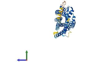 Protein Structure (PS) image for Cysteinyl Leukotriene Receptor 1 (CYSLTR1) (AA 1-337) protein (His tag) (ABIN7546634)