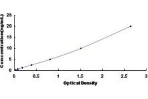 Typical standard curve (BCMA ELISA 试剂盒)