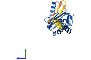 Protein Structure (PS) image for Adaptor-Related Protein Complex 3, sigma 2 Subunit (AP3S2) (AA 1-193) protein (His tag) (ABIN7552096)