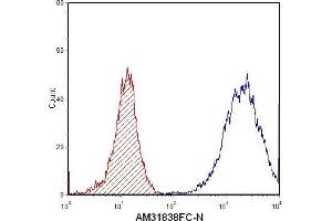 Flow Cytometry (FACS) image for anti-S100 Calcium Binding Protein A8 (S100A8) antibody (FITC) (ABIN954653) (S100A8 抗体  (FITC))