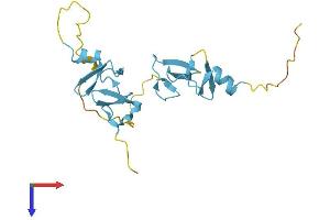 CSRP2 Protein (AA 1-193) (His tag)