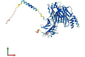 AlphaFold protein structure predicition of Mouse Recombinant Dbh Protein, UniprotID Q64237